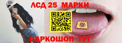прущие грибы Будённовск
