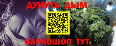 прущие грибы Будённовск