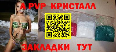 прущие грибы Будённовск