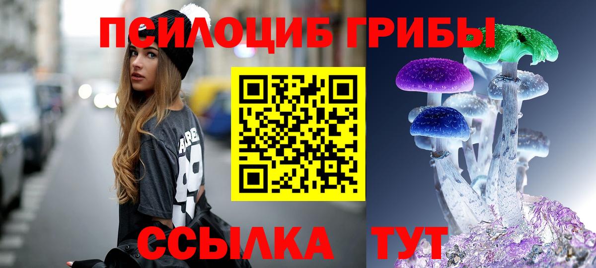 Псилоцибиновые грибы Psilocybe  Галлюциногенные грибы Psilocybine cubensis  Вход с VPN  Красноармейск 